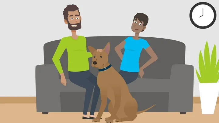 Bayer - How To Spot the Difference Between Fleas and Lice