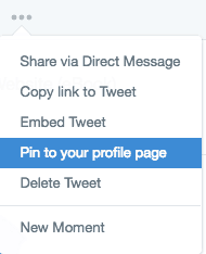 twitter-pin-to-page.png