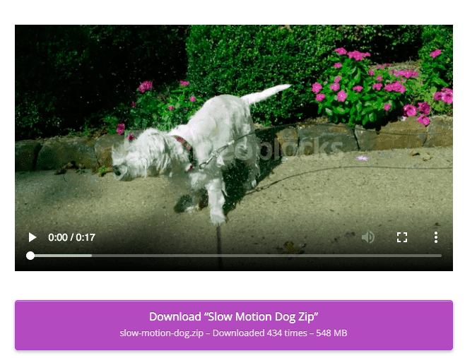 stock footage for free