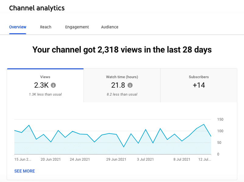 YouTube channel analytics overview