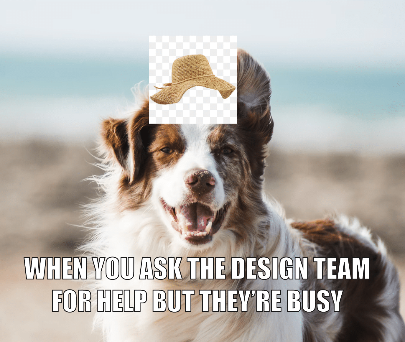 What are the best templates to sell?
