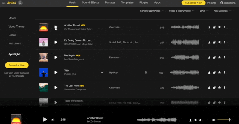 Artlist library